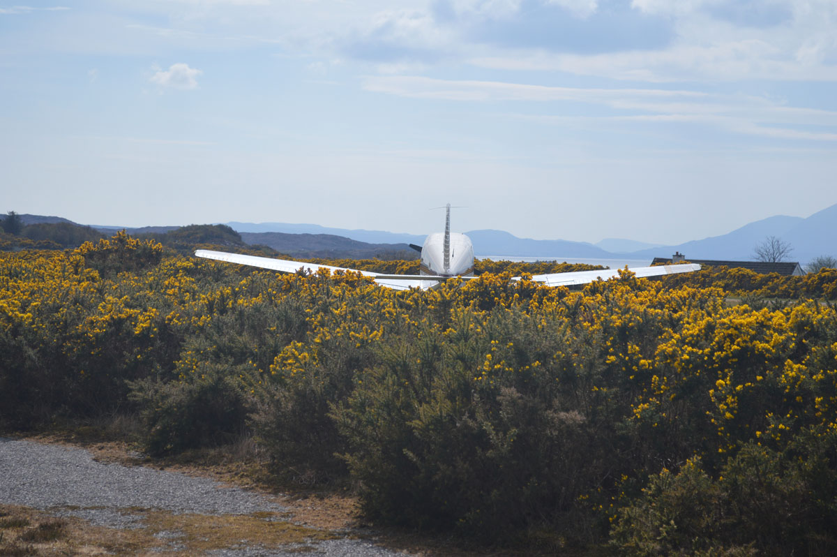 DSC_0754.jpg