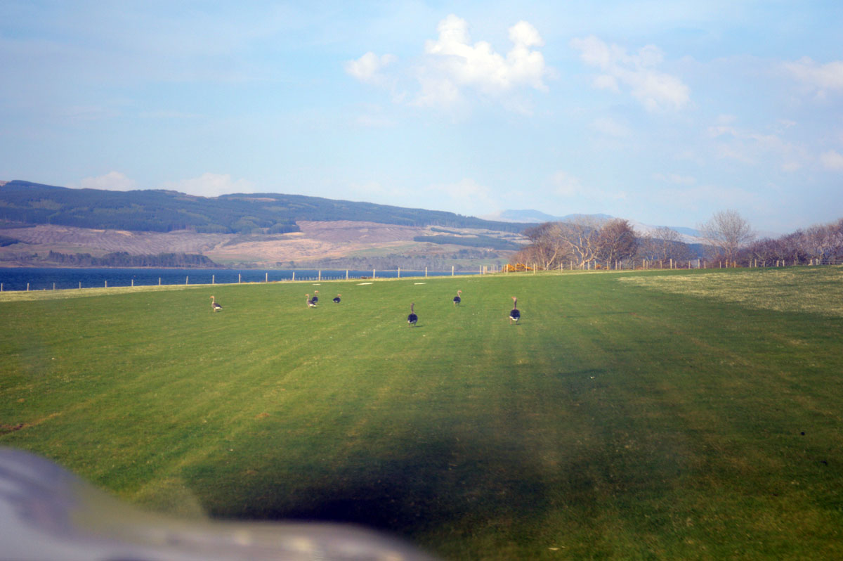 DSC_0854.jpg