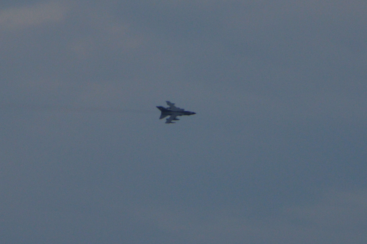 zDSC_0090.jpg