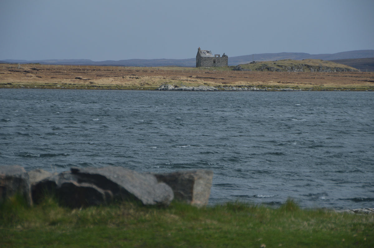 zDSC_0099_2.jpg