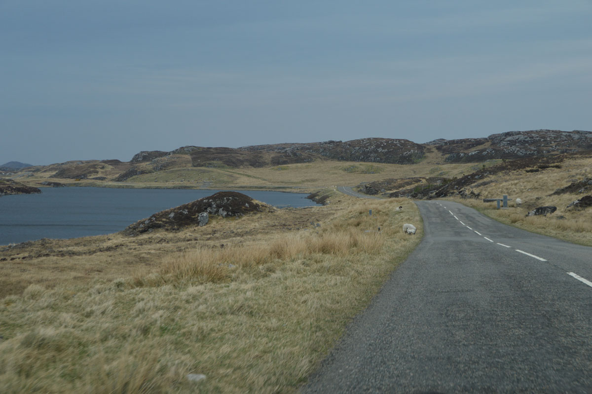 zDSC_0103_2.jpg