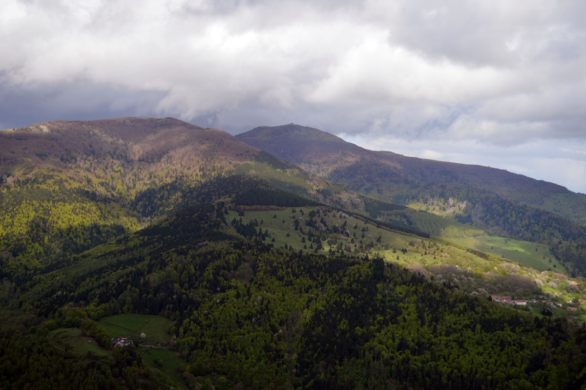 zDSC_0619_2.jpg